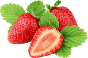 Synaptigen Ingredients