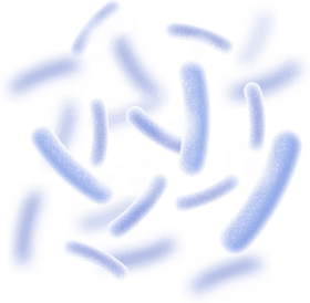 Synaptigen Ingredients